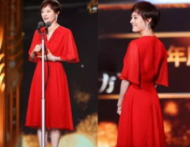 娱乐圈资深吃瓜人小说,揭秘明星背后的秘密与真相