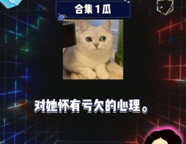 综艺娱乐八卦吃瓜,揭秘明星幕后故事，吃瓜群众狂欢时刻