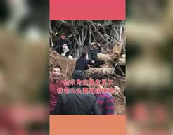 吃瓜星球娱乐,揭秘娱乐圈幕后故事与热点事件