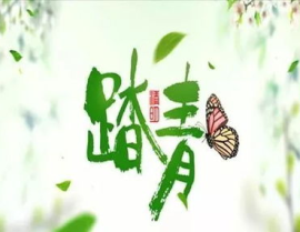 踏青的诗句,春日郊游的美好时光