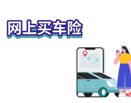 平安网上车险,平安网上车险一站式服务体验”