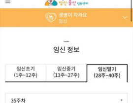 怀孕网站,从早孕反应到产后恢复，全方位呵护母婴健康