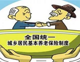 新农村养老保险,新农村养老保险制度解析与展望”