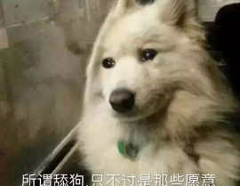 娱乐吃瓜酱舔狗,娱乐界的甜蜜苦涩