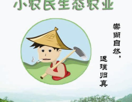 致富小农民,农村创业新篇章