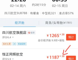 机票订购,轻松掌握航班预订技巧